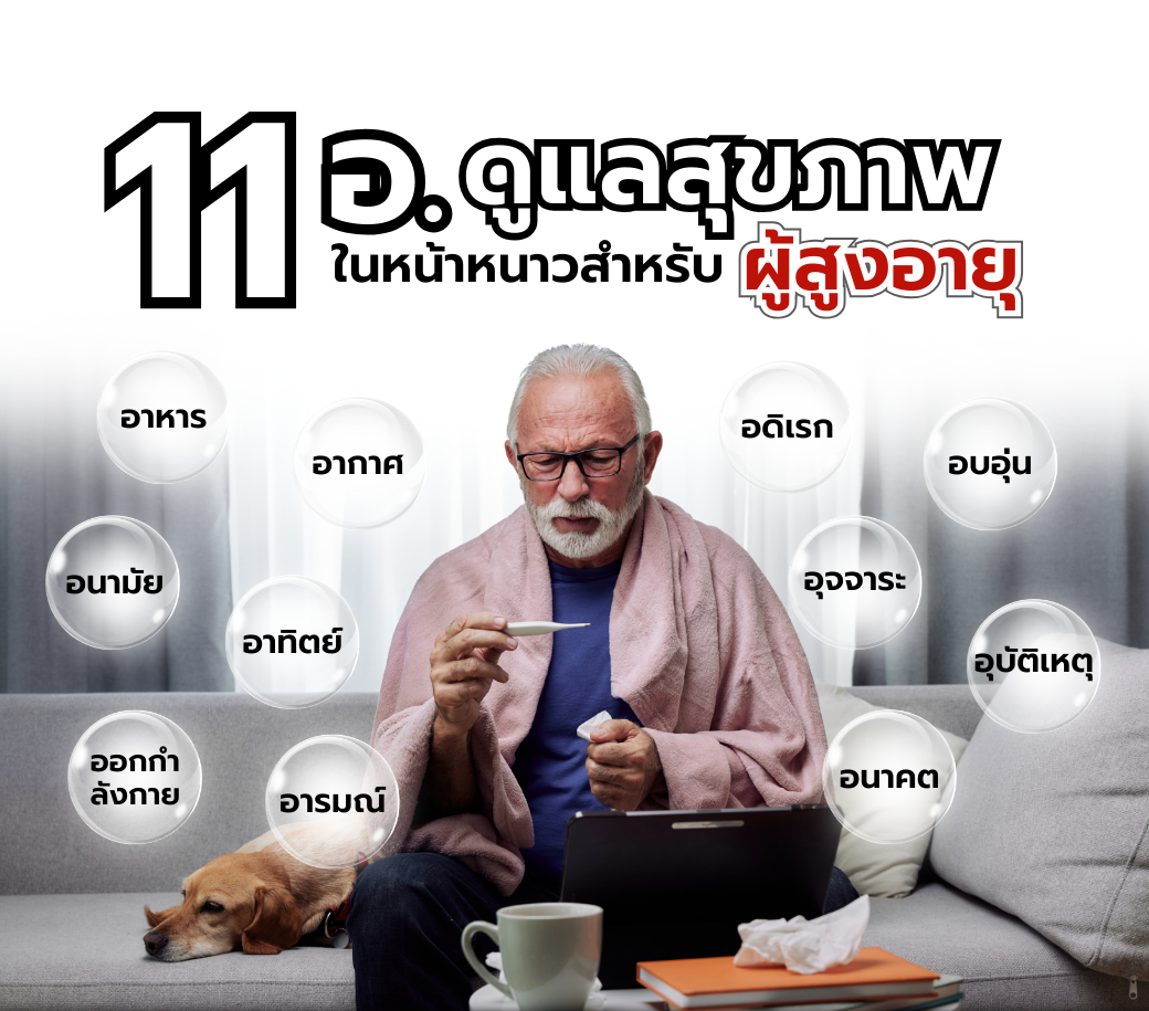 11อ.png